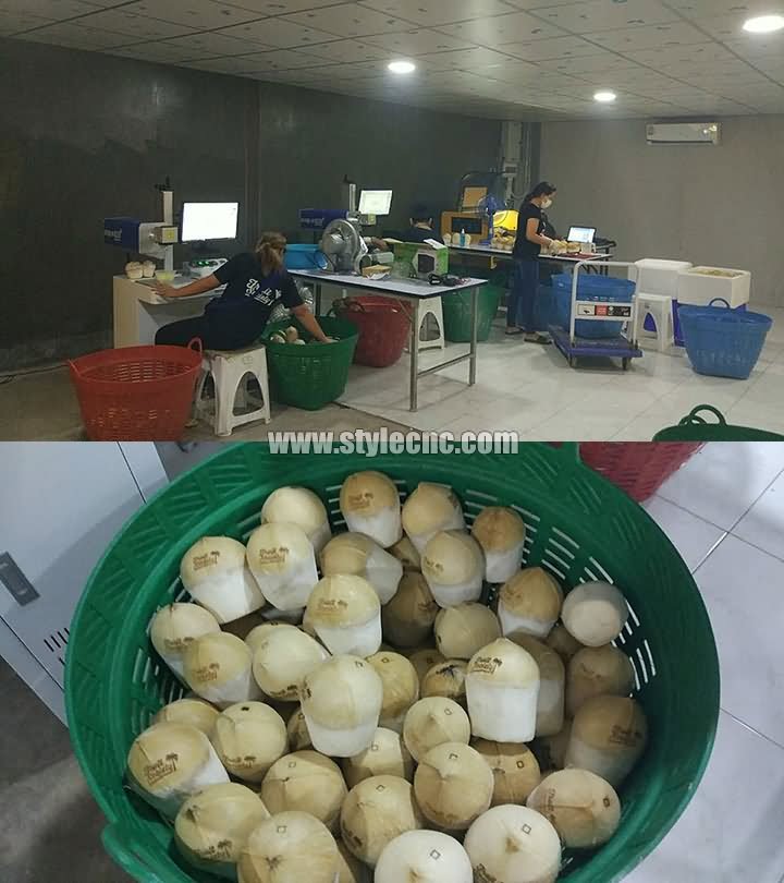 泰國(guó)椰子激光雕刻機(jī)